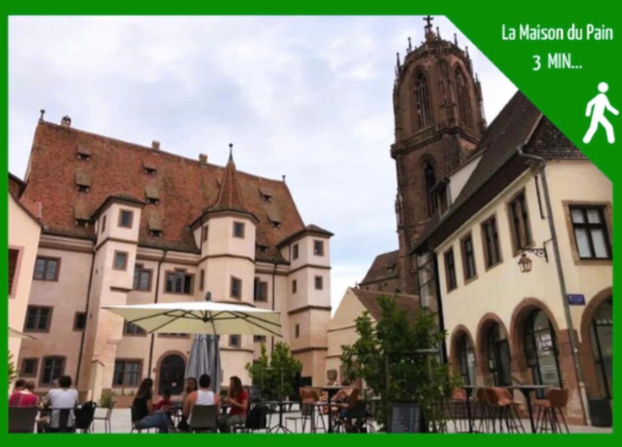 Appartamento La Parenthese Alsacienne Au Coeur De Sélestat Esterno foto
