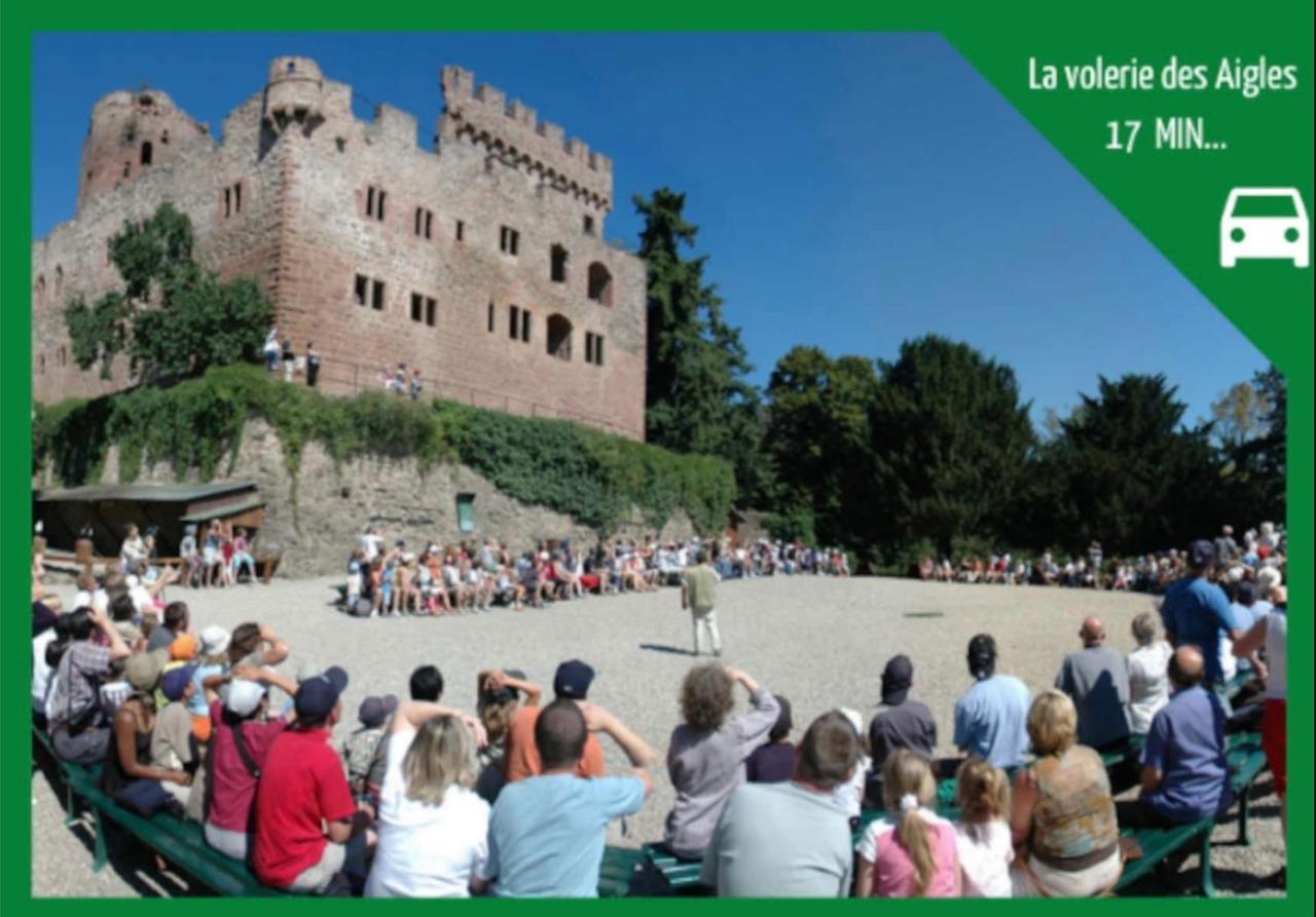 Appartamento La Parenthese Alsacienne Au Coeur De Sélestat Esterno foto