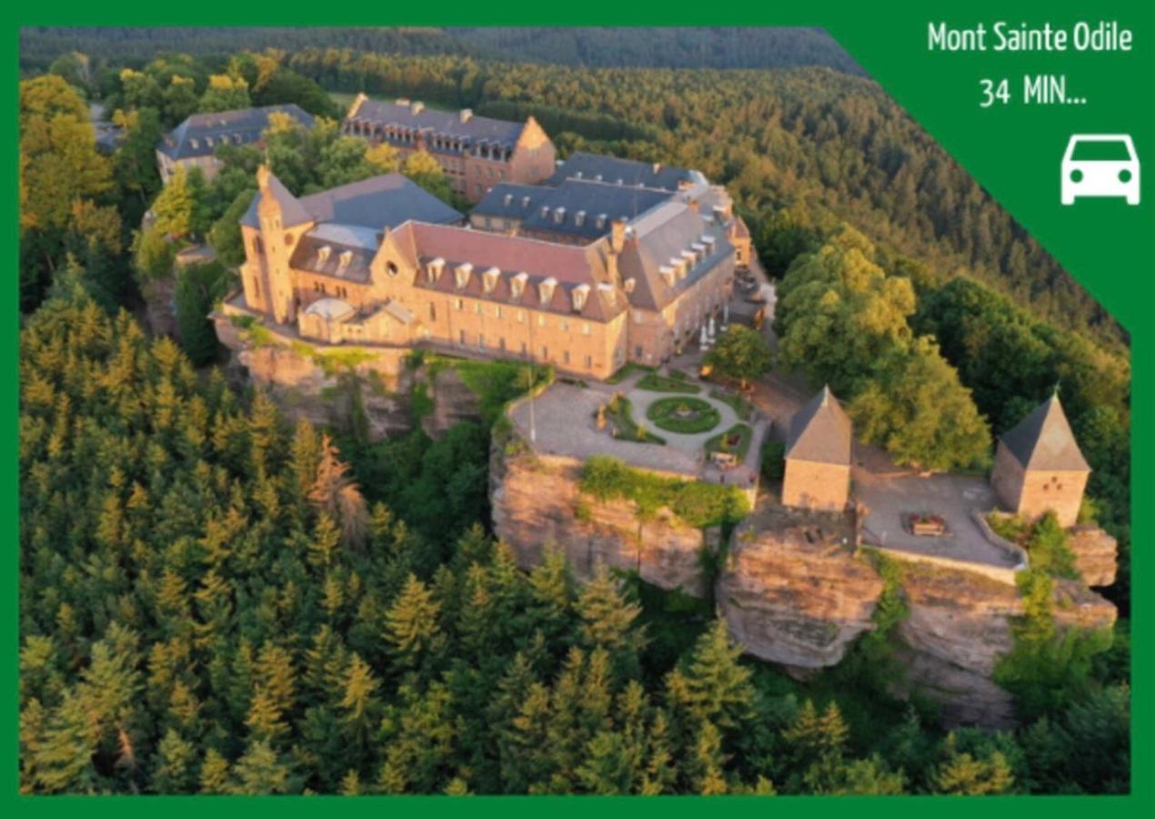 Appartamento La Parenthese Alsacienne Au Coeur De Sélestat Esterno foto