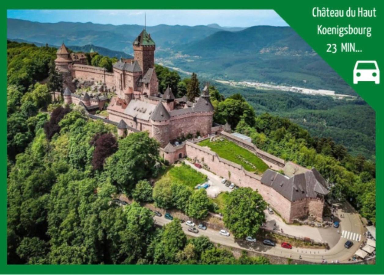 Appartamento La Parenthese Alsacienne Au Coeur De Sélestat Esterno foto