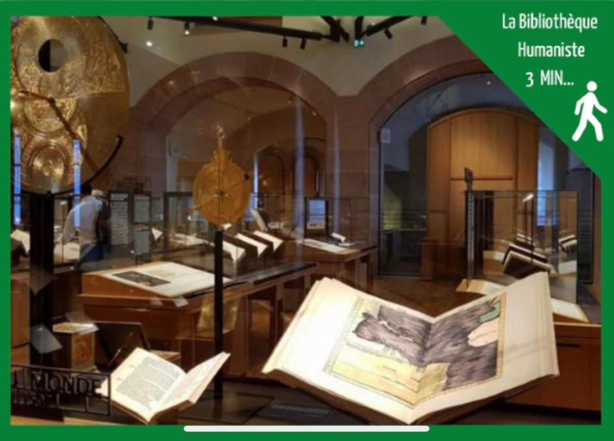 Appartamento La Parenthese Alsacienne Au Coeur De Sélestat Esterno foto